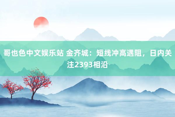哥也色中文娱乐站 金齐城：短线冲高遇阻，日内关注2393相沿