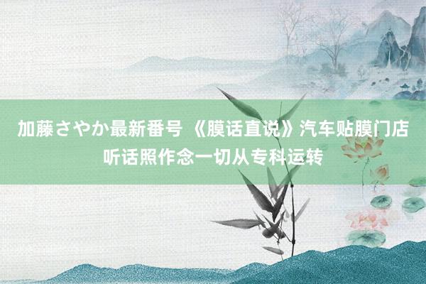加藤さやか最新番号 《膜话直说》汽车贴膜门店听话照作念一切从专科运转
