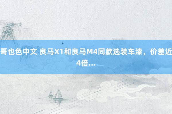 哥也色中文 良马X1和良马M4同款选装车漆，价差近4倍...