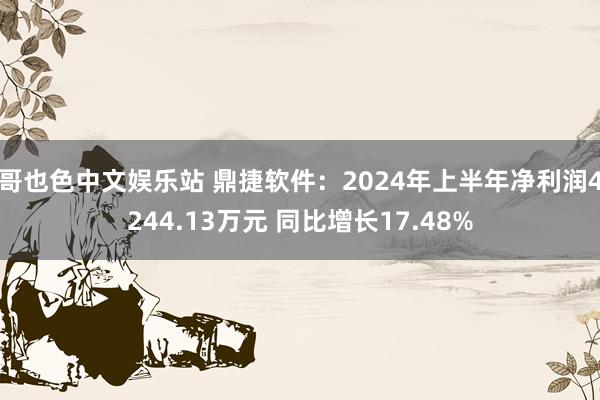 哥也色中文娱乐站 鼎捷软件：2024年上半年净利润4244.13万元 同比增长17.48%