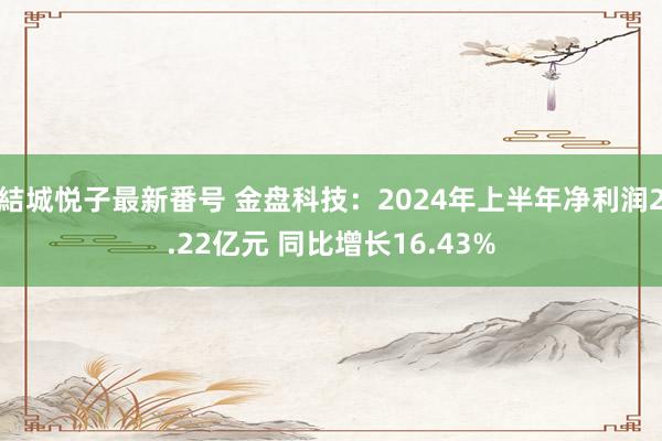 結城悦子最新番号 金盘科技：2024年上半年净利润2.22亿元 同比增长16.43%