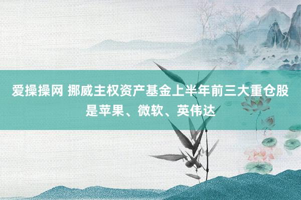 爱操操网 挪威主权资产基金上半年前三大重仓股是苹果、微软、英伟达