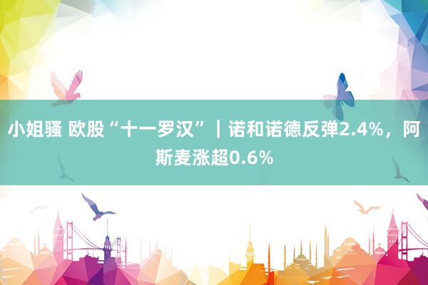 小姐骚 欧股“十一罗汉”｜诺和诺德反弹2.4%，阿斯麦涨超0.6%