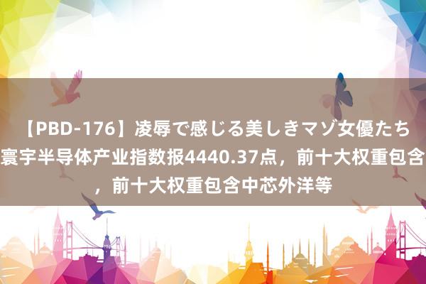 【PBD-176】凌辱で感じる美しきマゾ女優たち8時間 中证寰宇半导体产业指数报4440.37点，前十大权重包含中芯外洋等