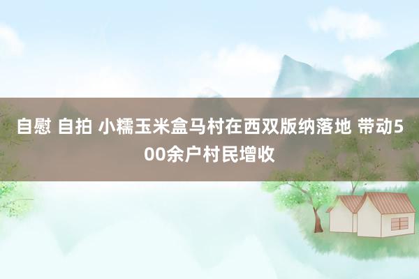 自慰 自拍 小糯玉米盒马村在西双版纳落地 带动500余户村民增收