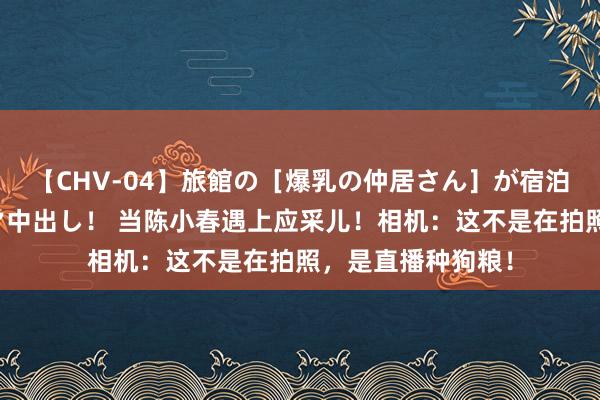 【CHV-04】旅館の［爆乳の仲居さん］が宿泊客に輪姦されナマ中出し！ 当陈小春遇上应采儿！相机：这不是在拍照，是直播种狗粮！
