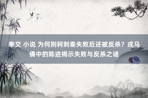 拳交 小说 为何荆轲刺秦失败后还被反杀？戎马俑中的陈迹揭示失败与反杀之谜