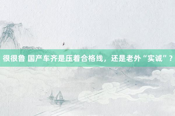 很很鲁 国产车齐是压着合格线，还是老外“实诚”？