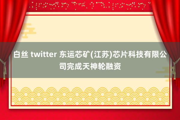 白丝 twitter 东运芯矿(江苏)芯片科技有限公司完成天神轮融资