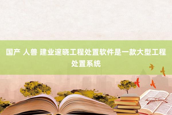 国产 人兽 建业邃晓工程处置软件是一款大型工程处置系统