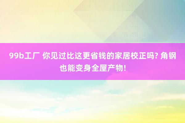 99b工厂 你见过比这更省钱的家居校正吗? 角钢也能变身全屋产物!