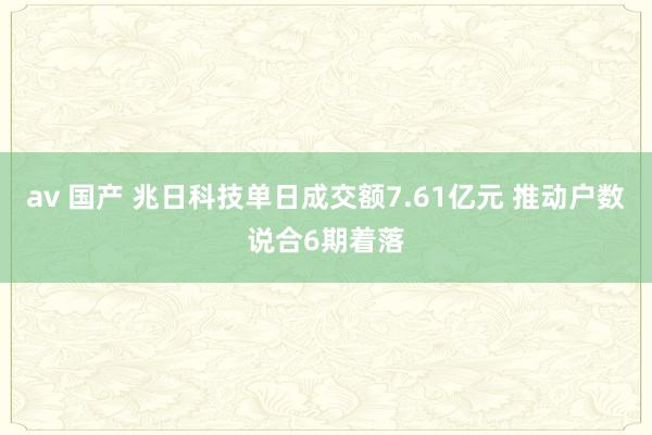 av 国产 兆日科技单日成交额7.61亿元 推动户数说合6期着落